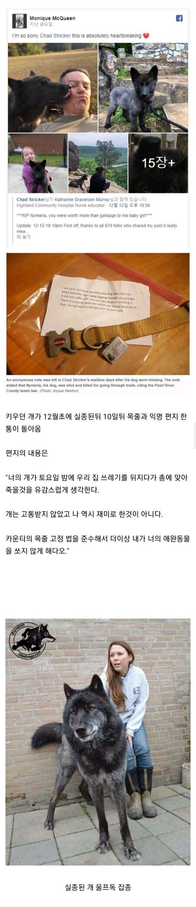 파워볼 분석과 실시간패턴통계