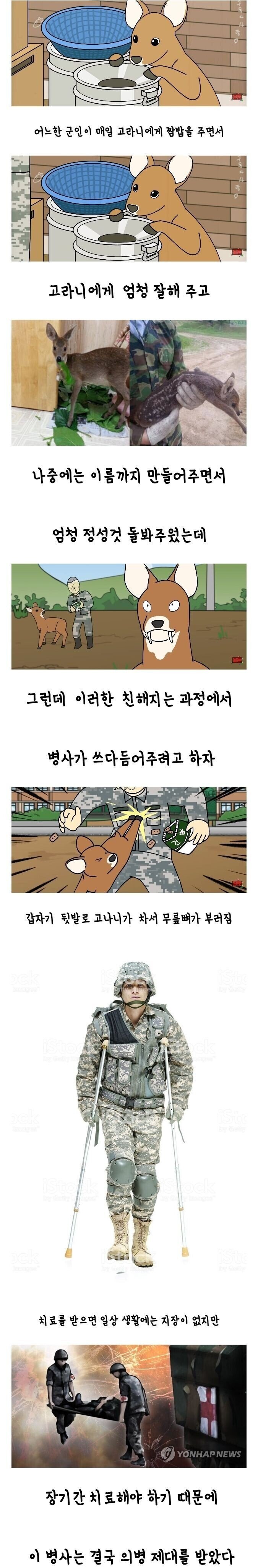 달팽이게임픽