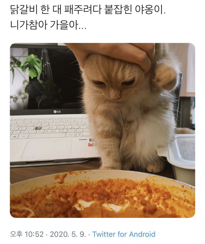 나눔로또