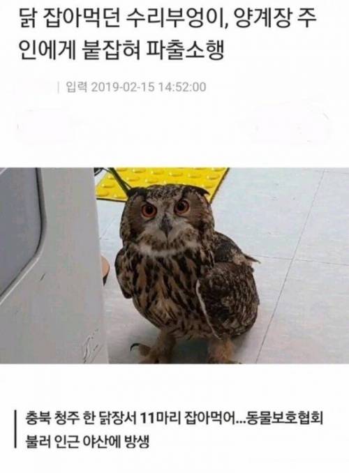 통축