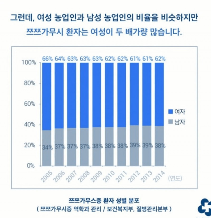 다리다리 분석과 실시간패턴통계