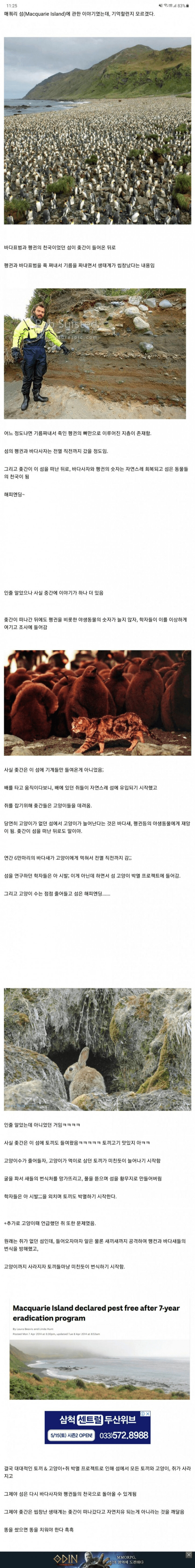 다리다리 분석과 실시간패턴통계