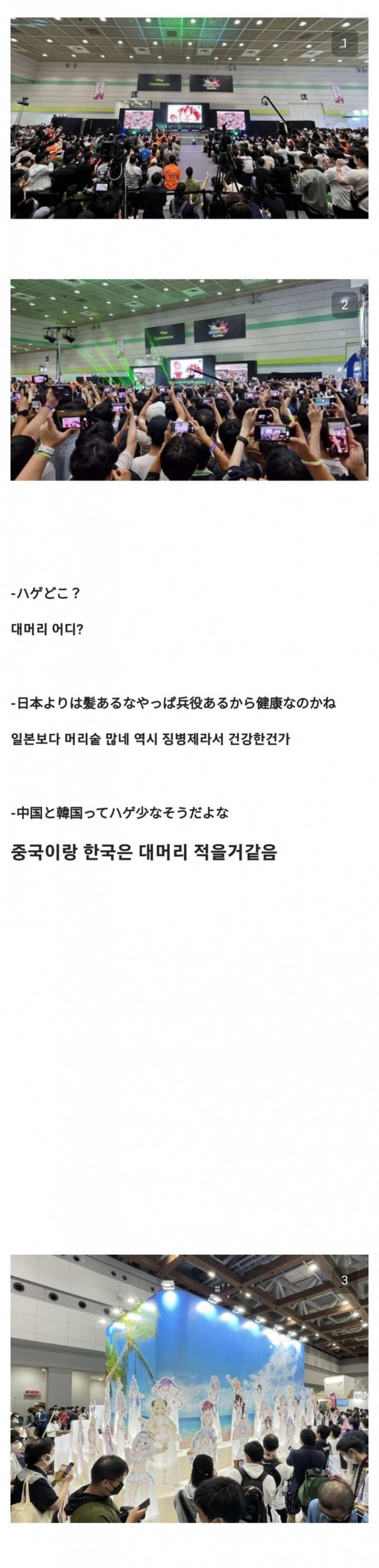 실시간다리다리