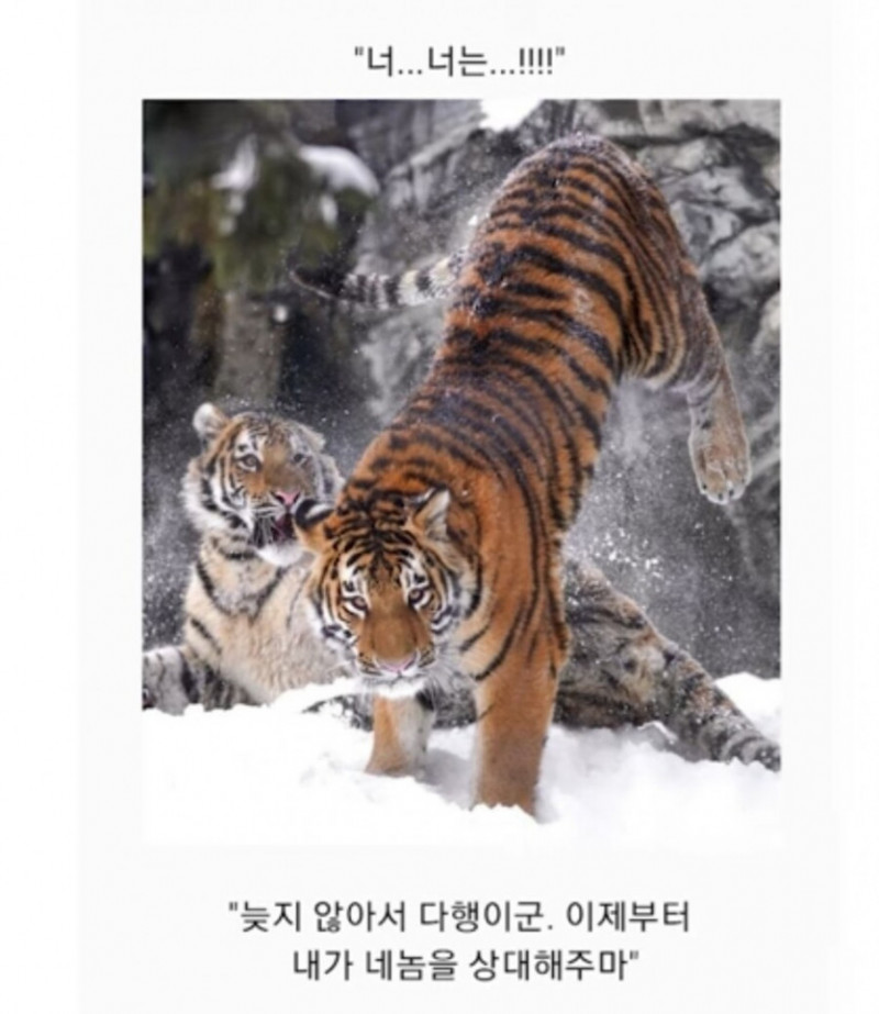 파워볼게임통계