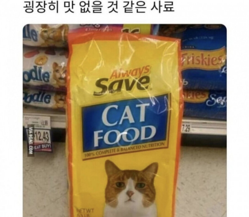 달팽이게임분석기