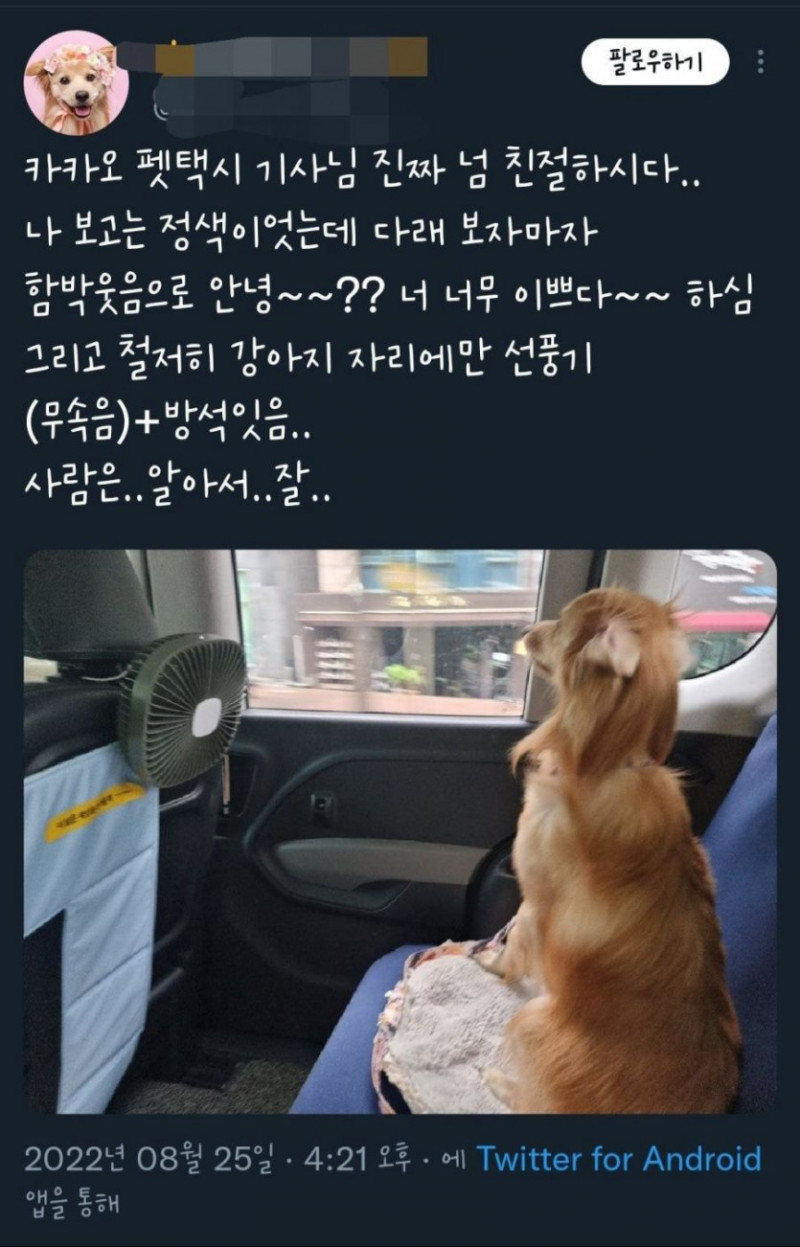 파워볼게임