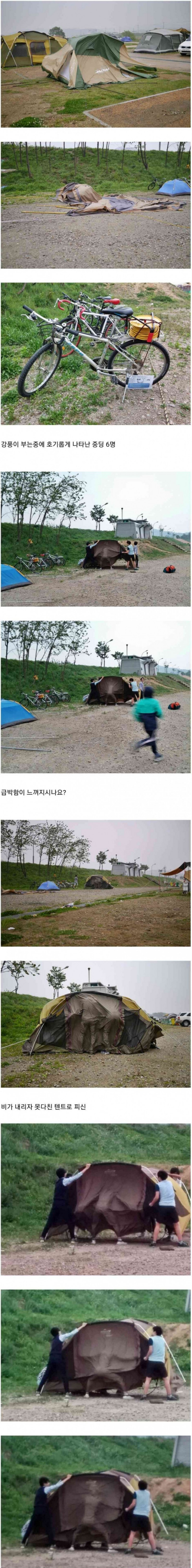 파워볼 분석과 실시간패턴통계