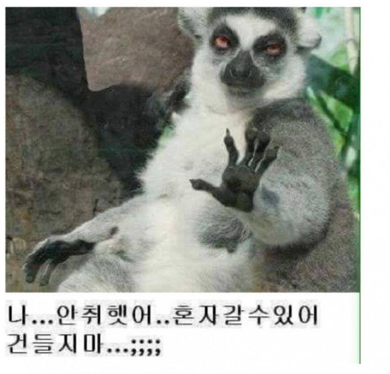 달팽이게임픽분석