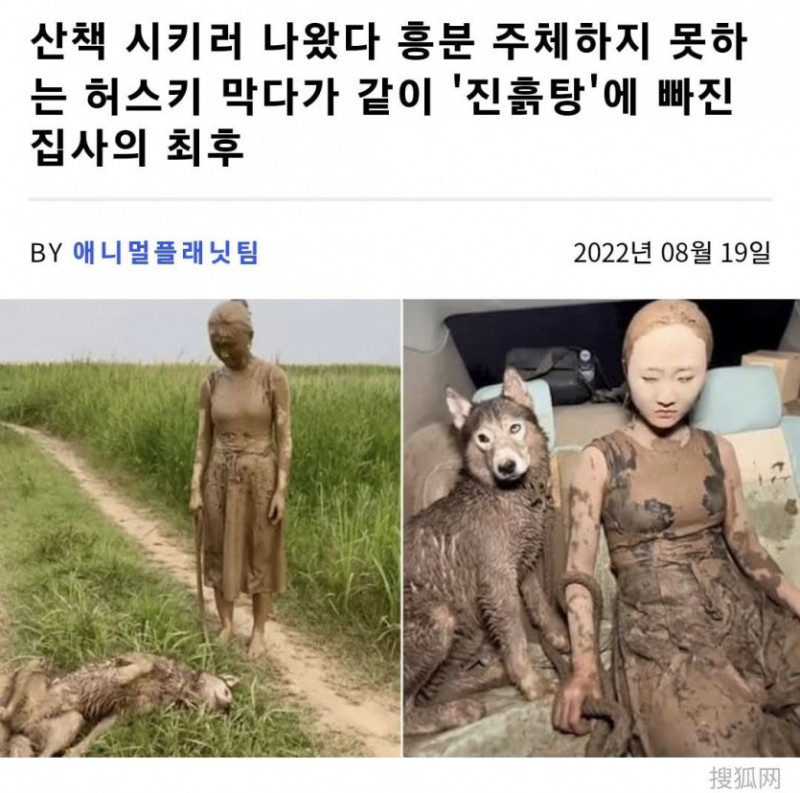 달팽이게임픽분석