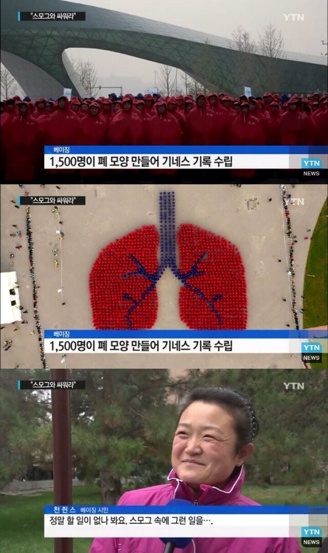 달팽이게임분석기