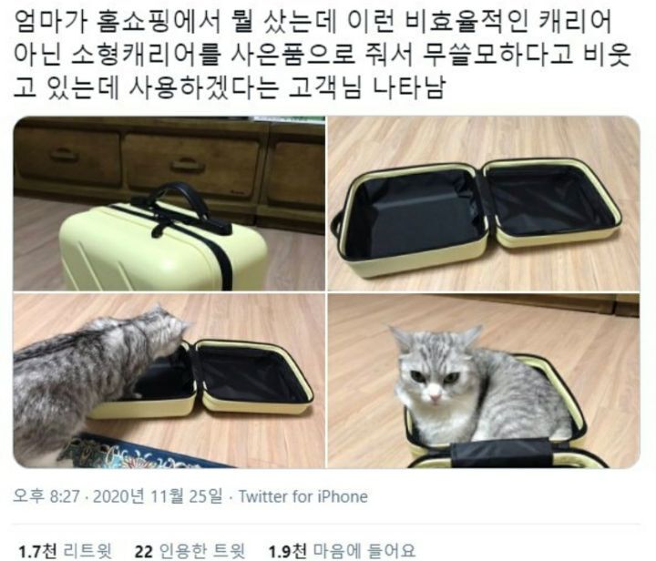 파워볼 분석과 실시간패턴통계