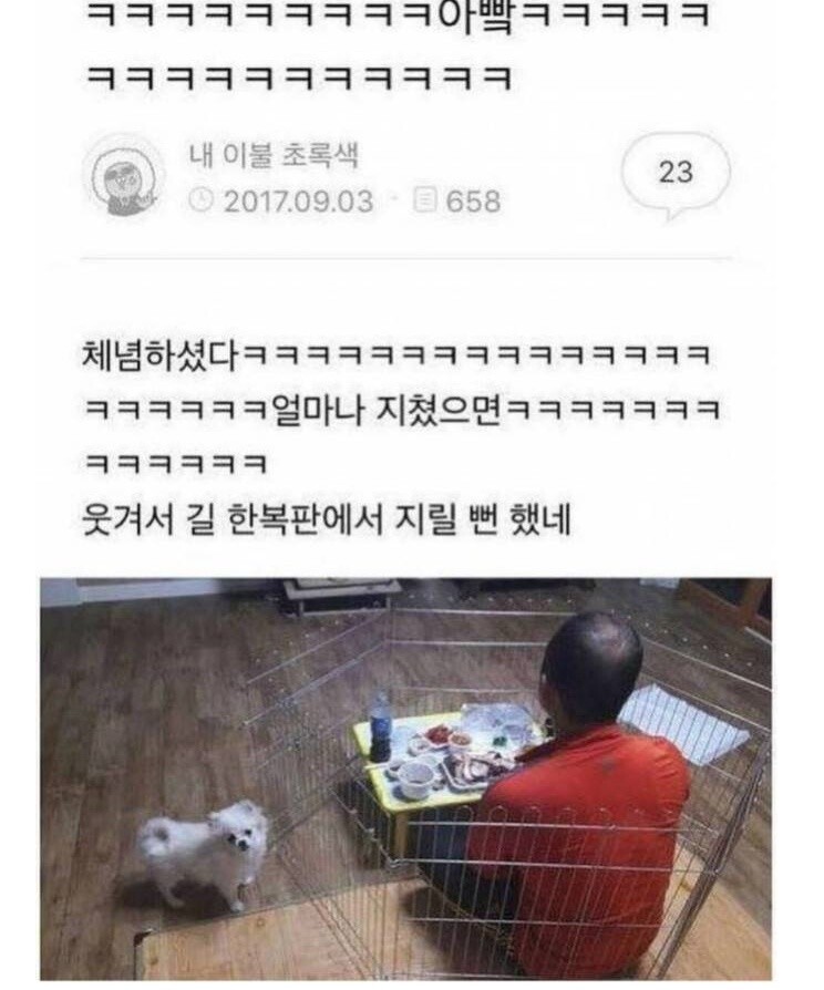 실시간달팽이