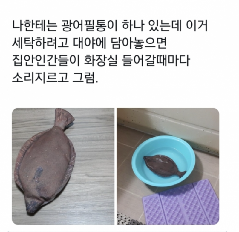 달팽이 분석과 실시간패턴통계