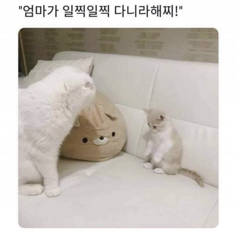 달팽이 분석과 실시간패턴통계