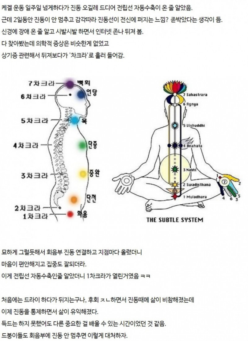 사다리 분석과 실시간패턴통계