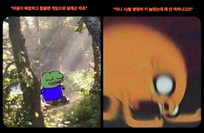 파워볼