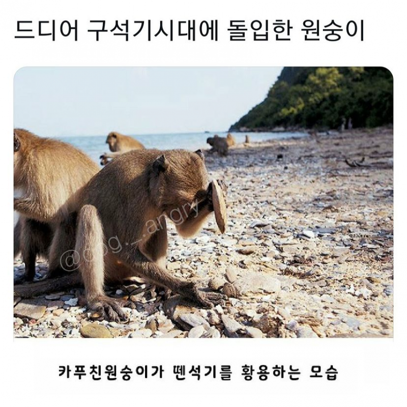 사다리게임픽