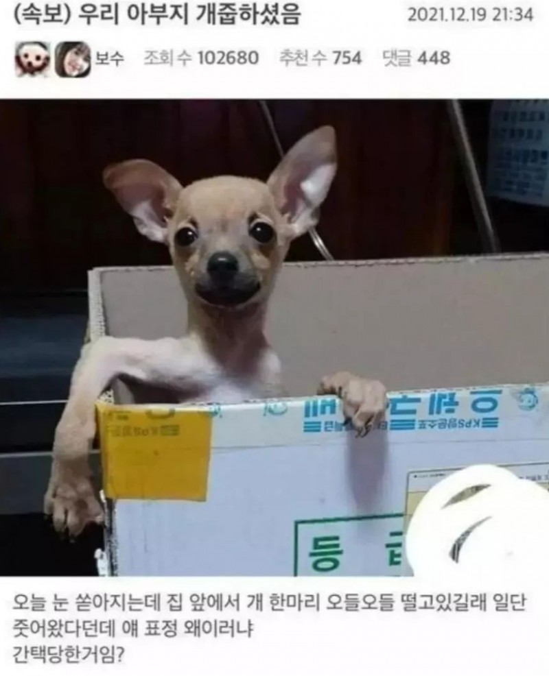 파워볼게임분석기