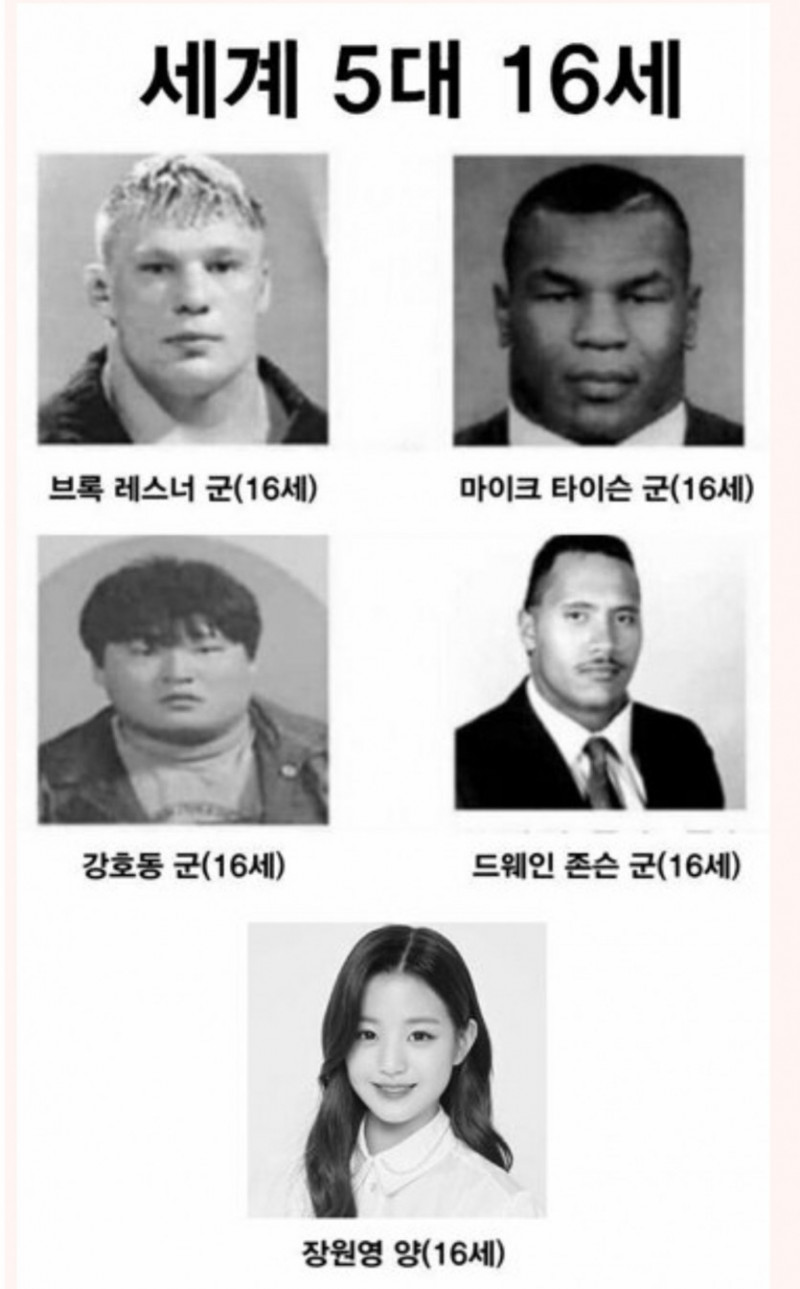 파워볼게임분석