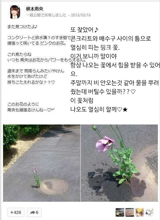 달팽이필승