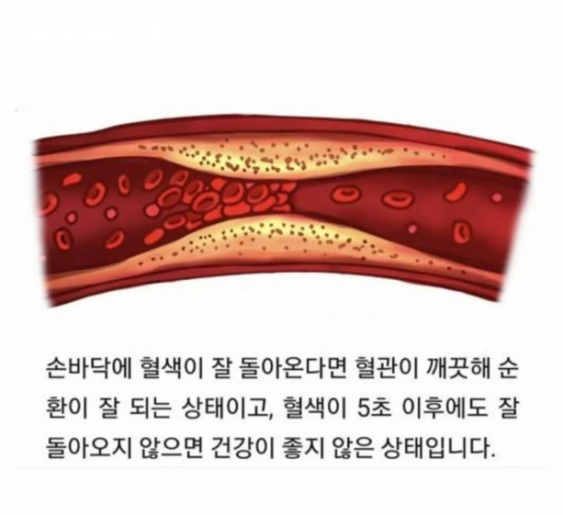 파워볼게임분석기