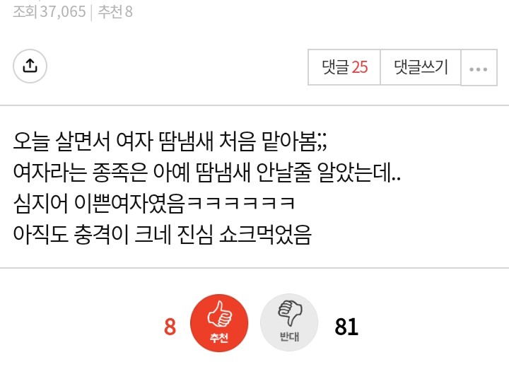 달팽이게임통계