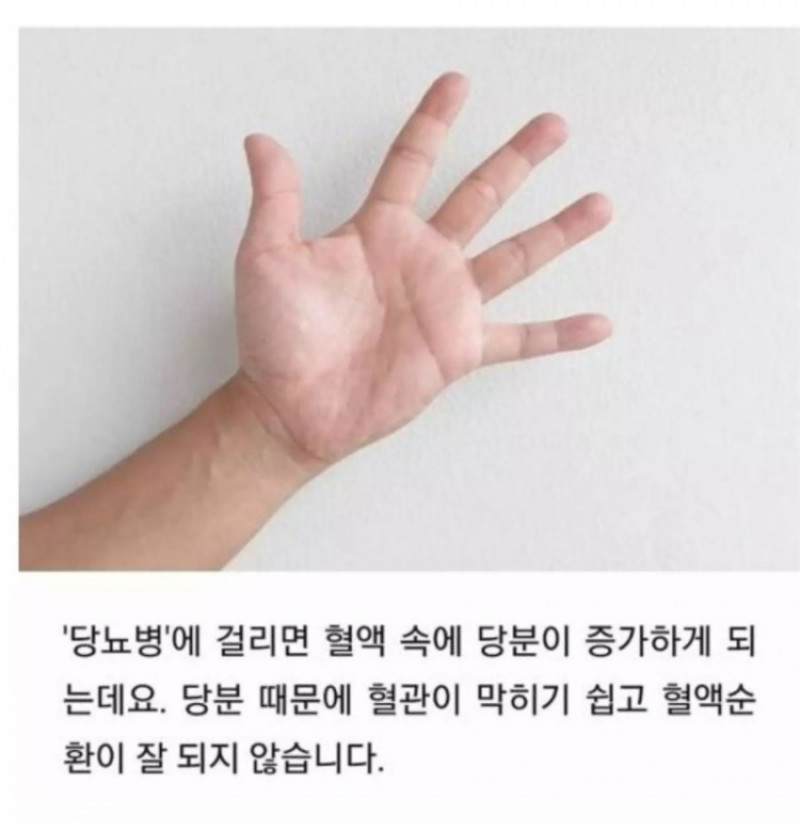 사다리게임분석