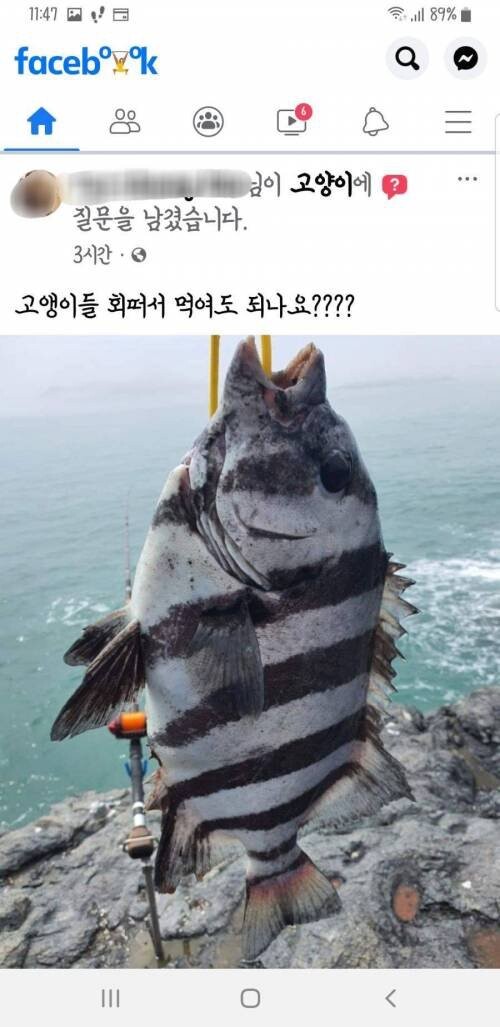 파워볼필승