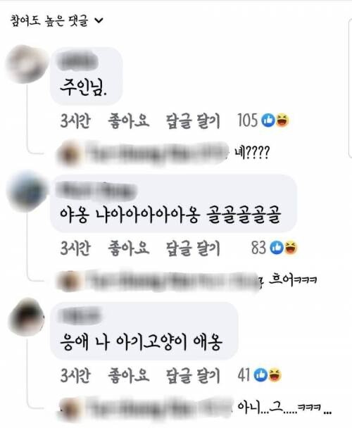 달팽이게임분석