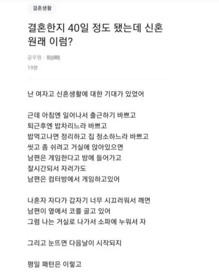 사다리게임분석기