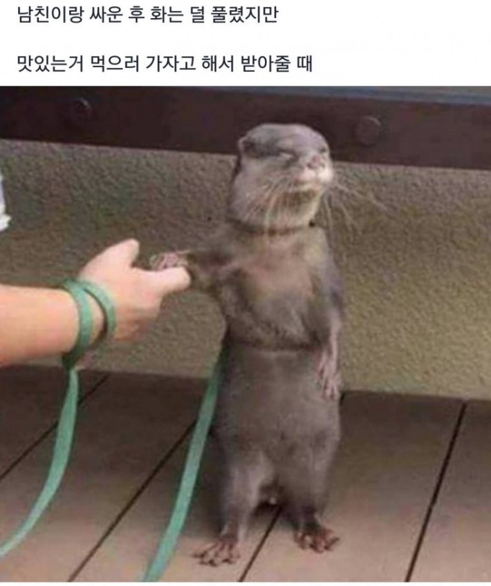 달팽이게임분석기