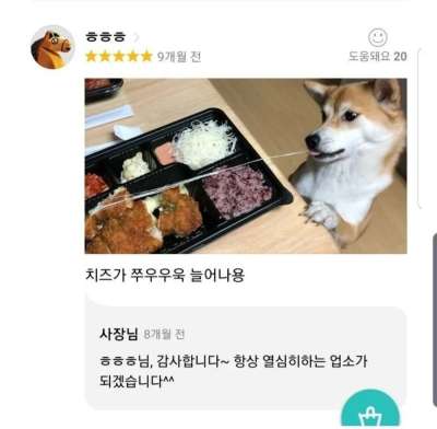 사다리 분석과 실시간패턴통계