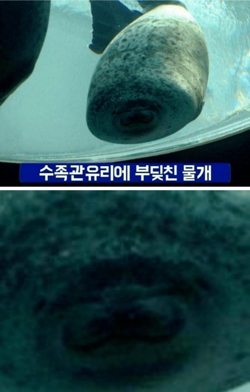 파워볼게임픽게임