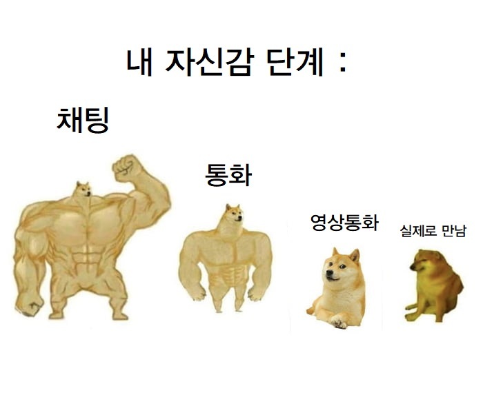 실시간파워볼