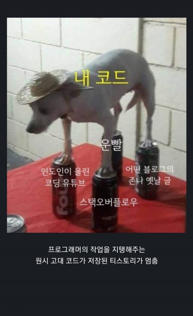 사다리게임통계