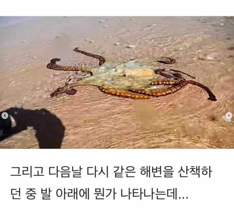 실시간사다리