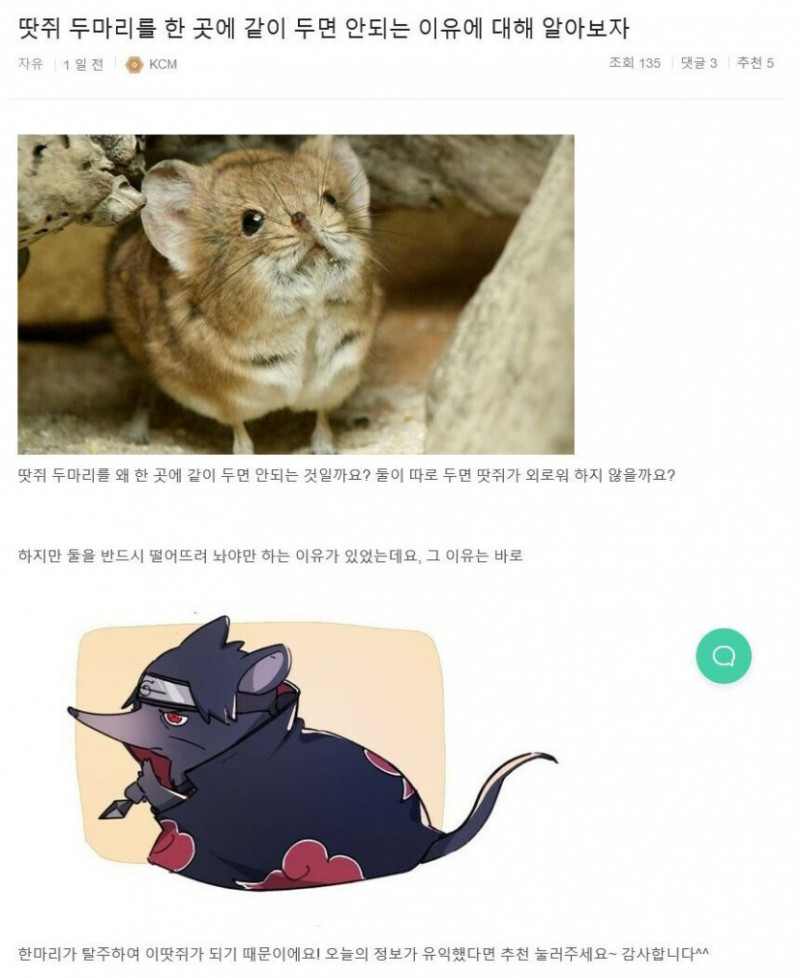 파워볼