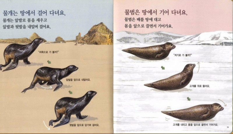 나눔로또 파워볼분석기