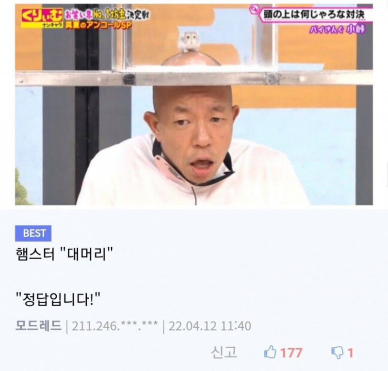 달팽이게임통계