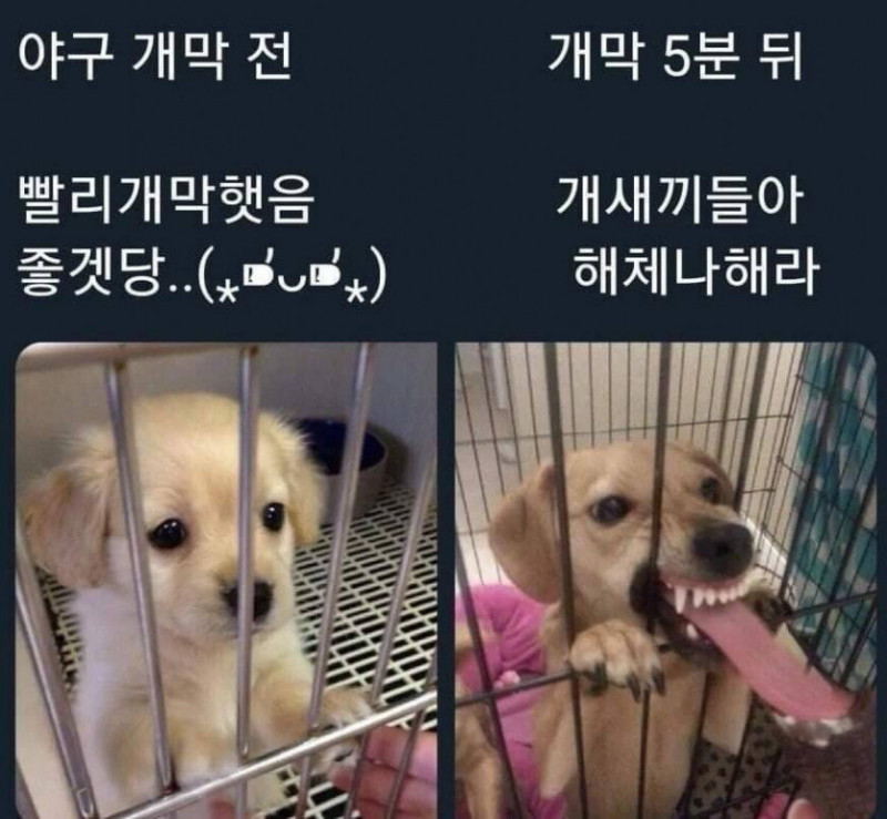 달팽이게임픽