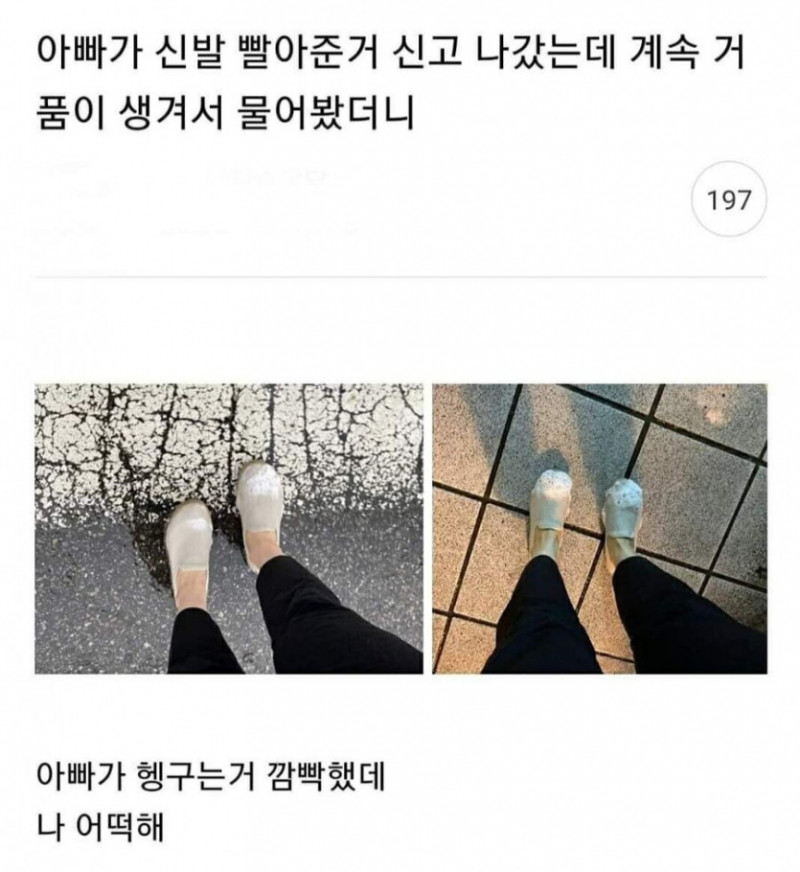 파워볼게임