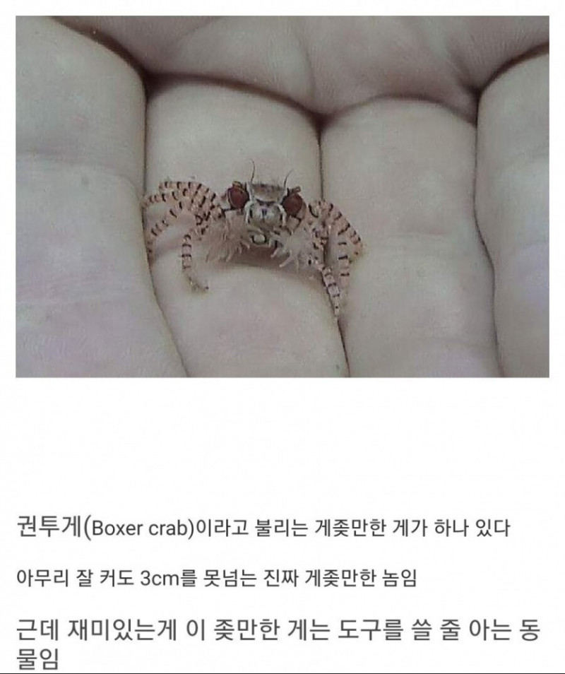 나눔로또 파워볼분석기