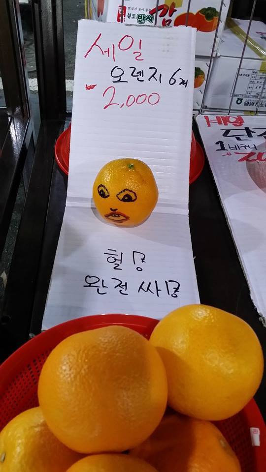 달팽이 분석과 실시간패턴통계