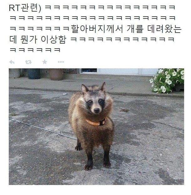 실시간게임