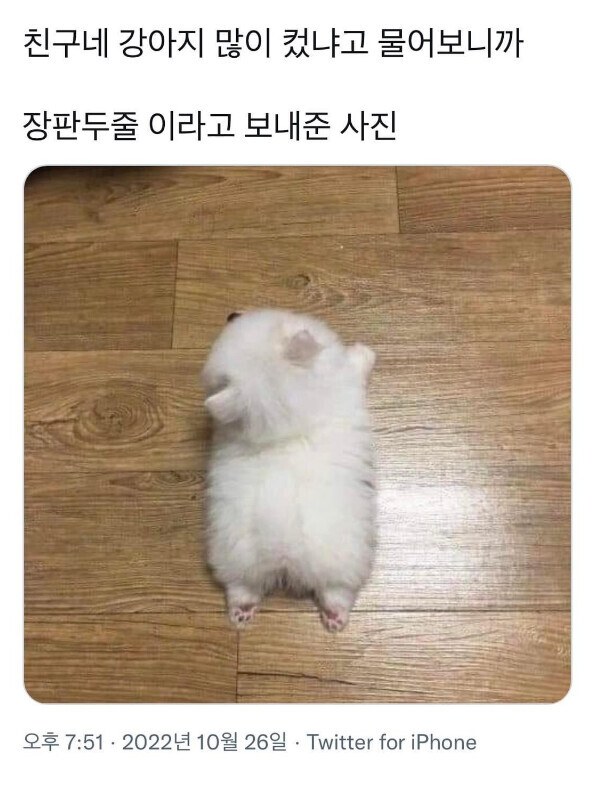 성인게임