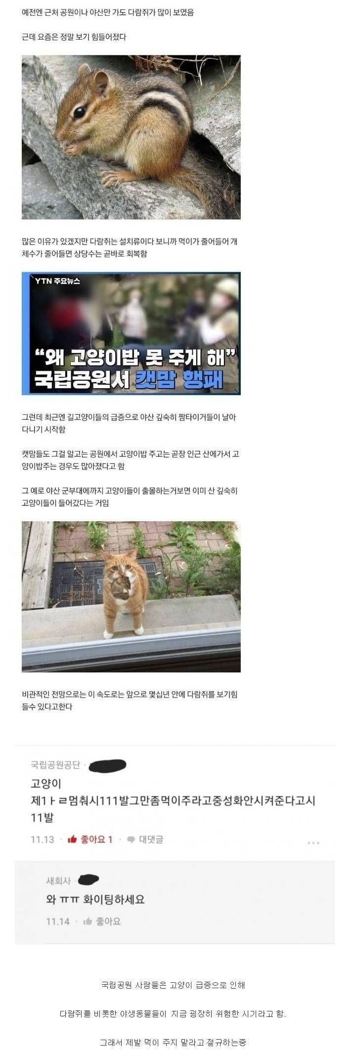 달팽이 분석과 실시간패턴통계