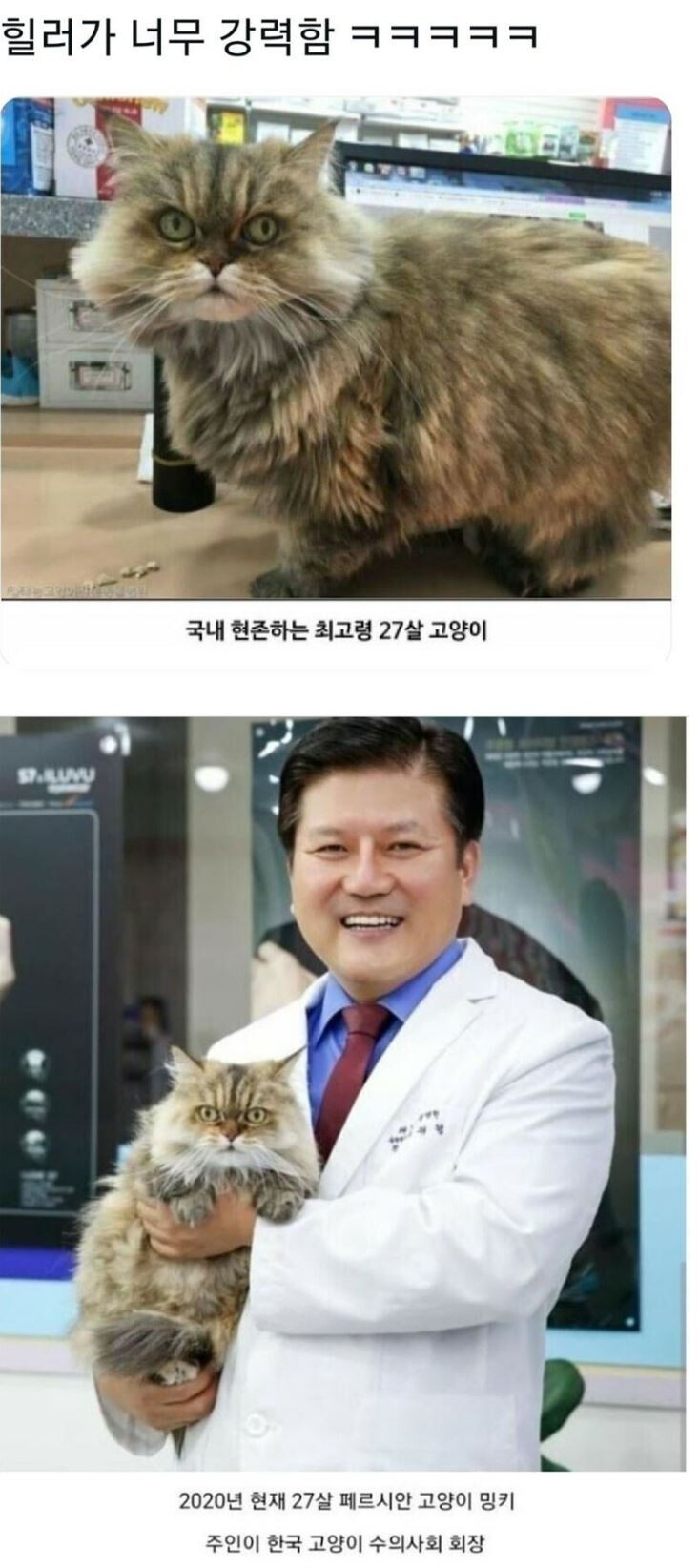 나눔로또