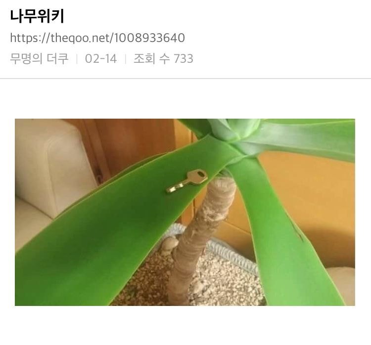 달팽이게임