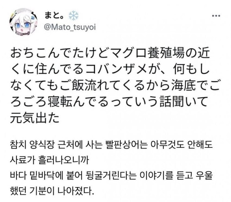 달팽이게임분석