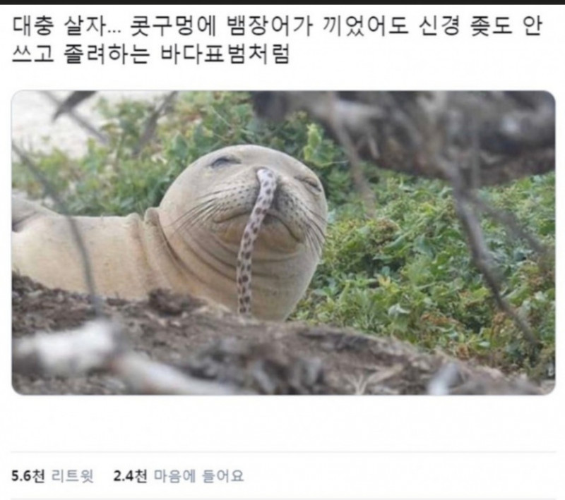 달팽이게임픽분석